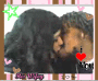 hestolemyheartwithjustonekiss