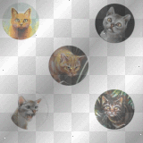Warrior Cats