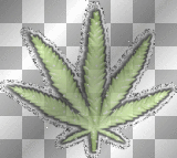 w w