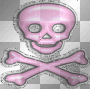 pp