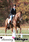 Dressage