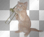 cat trumbone