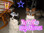 HelloKittyJr62