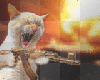kill3r cat eat a kitty