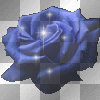 single blue rose
