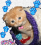 kitty