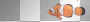 clown fish