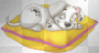 101 Dalmation
