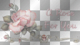 a rose for you