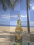 Corona on the beach