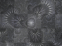 black fractals