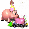 Birthday Pig