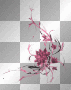 Pink flowers