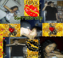Valentine1