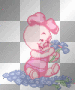 baby piglet