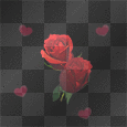 Roses in heart