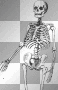 Skeleton