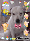 molly