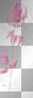 singlepinkrose