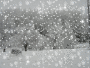 winter snow