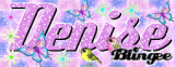 Denise birds and butterflies