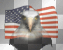 USA Eagle