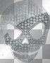 Diamond Skull
