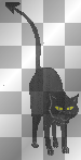 black devil cat