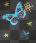 butterflies