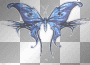 blue butterfly