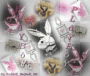 playboy