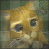 Puss in boots icon