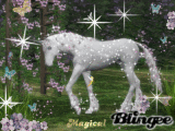 Magical Garden 1