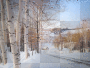 winter forest