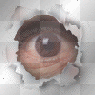 eye