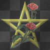 Star and Roses
