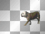 bulldog