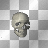 skull