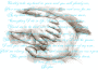 daddys hands