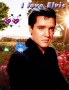 My darling Elvis