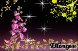 flower glamour 