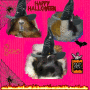 pink-halloween pink-halloween