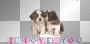 puppy love