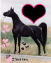 Black Horse