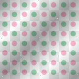 Pink & Green Polka Dots