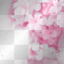 Pink Flowers