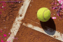 Tennis Ball Tennis Ball