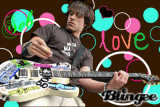 seb simple plan