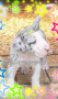 dayna3398