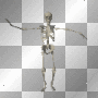 animated  skelaton 